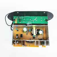 Özel T9 yüksek güç HIFI ev araç ses kurulu 2009IC USB uzaktan kumanda TF bluetooth güç alıcısı desteği radyo ses sistemi