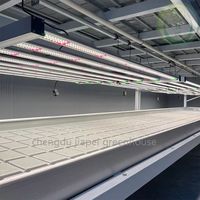 Serres agricoles personnalisées en gros, tables de semis mobiles galvanisées à marée