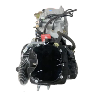 CQJB <span class=keywords><strong>Zongshen</strong></span> refrigerado por agua <span class=keywords><strong>CG250</strong></span> motocicleta motor triciclo repuestos 250cc motor - Product Image 3