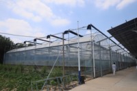 Grandes serres agricoles solaires en acier en forme de C avec couverture en acier pour la culture de légumes (modèle simple)