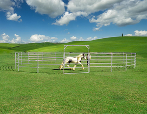 Yıl boyunca koruma için hava koşullarına dayanıklı kaplamalı dayanıklı at arazi paneleri - Product Image 6
