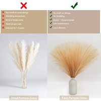 Penjualan Laris Dekorasi Bunga DIY Bulrush Reed Grass Filler Dekorasi Rumah Pernikahan Rumput Pampas Bunga Kering Rumput Pampas Kering
