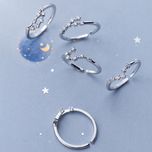 Classique Mignon Conception 925 Sterling Argent Zodiaque Doigt Réglable Anneau 12 Horoscopes S925 Femmes - Product Image 1