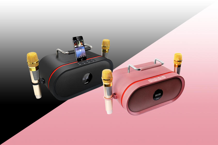RHM RM-K666 Best Sale Portable Karaoke Speaker System