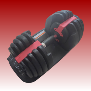 Mancuerna regolare Mancuernas Ajustables 40 <span class=keywords><strong>kg</strong></span> - Product Image 1