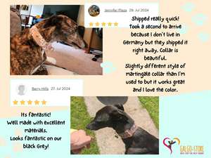 개 토끼풀 녹색 패트릭 sighthound 칼라, st paddys martingale 또는 버클 칼라/클로버 - Product Image 2