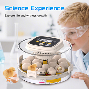 Price Low Price Dual Power Automatic Chicken Duck Goose Quail Egg Turning 18 Pcs <strong>Incubator</strong> for Home Use With Light - Product Image 2