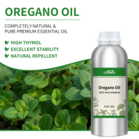 Huile d'origan de qualité industrielle, huile essentielle extraite de carvacrol, approvisionnement en vrac, OEM/ODM