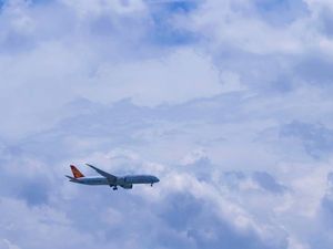 Дешевый агент по доставке в Бразилию, Мексика, Канада, США, новая энергия, интеллектуальный поставщик, ddp, морской экспедитор lcl express - Product Image 5