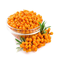Échantillon Gratuit : Poudre d'Extrait de Plante d'Argousier Naturelle et Biologique, Jus Instantané de Fruit d'Argousier, Poudre d'Extrait d'Argousier