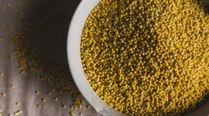 Millet brun clair non glutineux pour la transformation alimentaire, la mouture en farine, l'alimentation des oiseaux, la nutrition du bétail, durée de conservation de 12 mois - Product Image 5