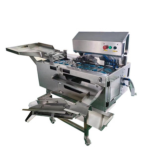 Máquina para romper huevos de doble hilera de acero inoxidable, 1000-2000W, 220-240V, para panadería, pastelería, con función de parada automática - Product Image 1
