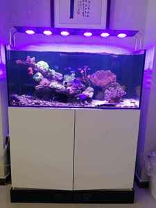 250L Rechthoekig/Vierkant Ultra Helder Glazen Visbak met Kast, Ecologisch, Eenvoudige Stijl voor Garnalen, Woonkamer <span class=keywords><strong>Aquarium</strong></span> - Product Image 5