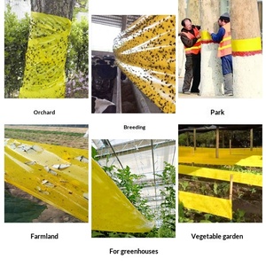 เทปกาวสองหน้าสีเหลืองน้ำเงินดำสำหรับดักจับแมลง แมลงวัน แมลงสามง่าม อุปกรณ์ดักจับแมลงอเนกประสงค์สำหรับทำสวน - Product Image 5