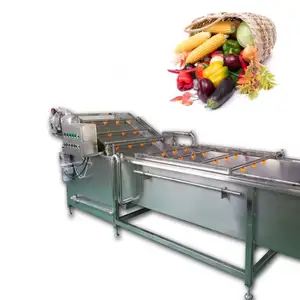 Industrial tomato herb lemon sorting rotary washer washing cleaner pomegranate fruit and vegetable cleaning machine manufacture