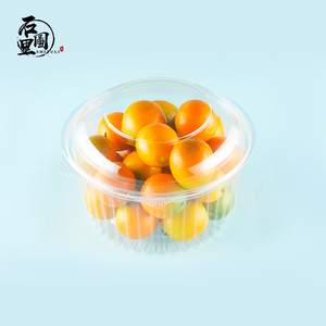 STL-48DL capacity 500g transparent clam shell plastic box salad container fresh keeping box