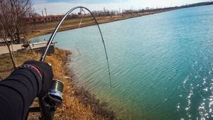 <span class=keywords><strong>Canne</strong></span> à pêche à la <span class=keywords><strong>carpe</strong></span> <span class=keywords><strong>haut</strong></span> <span class=keywords><strong>de</strong></span> <span class=keywords><strong>gamme</strong></span> en carbone vierge 13ft 3lbs <span class=keywords><strong>Canne</strong></span> à deux sections - Product Image 4