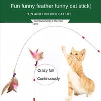Jouet interactif pour chat en plastique écologique de haute qualité, vente en gros, avec éléments naturels