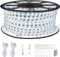 Guirlandes lumineuses LED de 150 pieds pour extérieur, étanches : 110V, lumière blanche du jour, dimmable, bande plate 6500K, découpable, connectable
