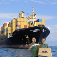 Agent logistique à Shenzhen, Chine, transitaire maritime, expédition DDP vers le Royaume-Uni, les États-Unis, FCL DDP
