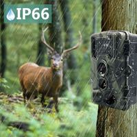 2023 nouvelle application de contrôle solaire 48Mp Caza Wifi Mini caméra de piste de chasse 2.7K Animal sauvage faune Camara