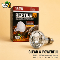 LuckyHerp JX-SL160R115CL Lampe à vapeur de mercure auto-alimentée 160W UVB/UVA, écologique, en verre rond classique pour reptiles