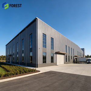 Edificio Industrial Prefabricado con Estructura de Acero al Carbono, Producción Personalizada, Nave Industrial Modular - Product Image 1