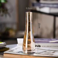 Vases à fleurs en verre nordique moderne, vente directe d'usine, décoration d'intérieur, élégant vase à fleurs à tige unique, transparent, haut et fin