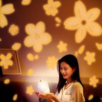 Projecteur personnalisé ABS Lumière murale LED Veilleuse Projection de lumière-rhyme USB Ciel Table Étoile Mini Lampe de projection musicale colorée