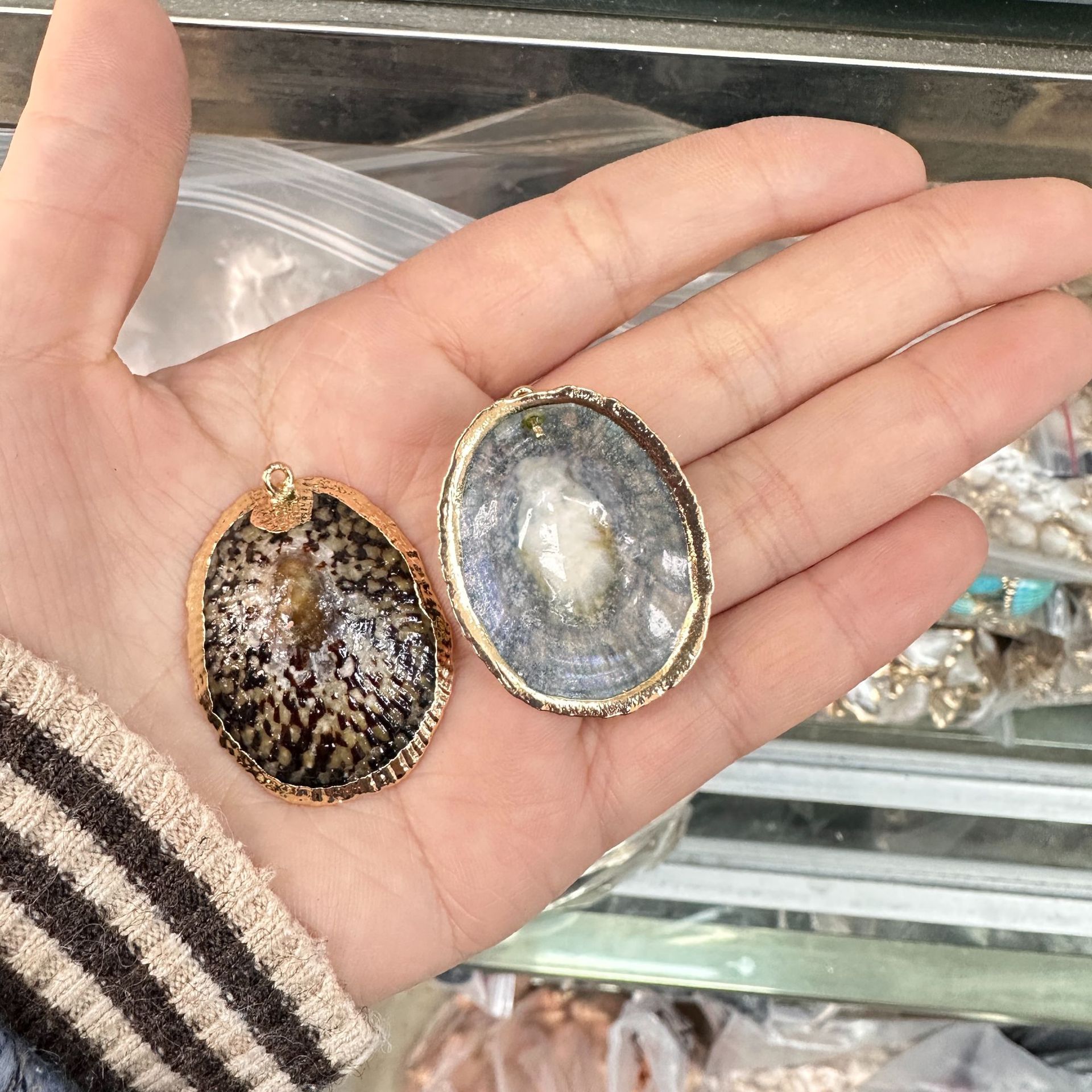 5 viti a guscio di tartaruga