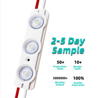Modules LED DC12V 6020 SMD2835 IP65 Blanc Chaud 1.2W Multicolore pour Enseignes Lumineuses Extérieures et Publicité