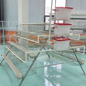 Tip 3, 96 Kuş Kapasiteli Galvanizli Tavuk Kafesi (Yumurtacı Tavuk Çiftliği İçin) - Product Image 1