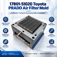 Moule d'injection de filtre automobile à structure optimisée, pratique pour le filtre à air Toyota PRADO 17801-51020, outillage pour le cœur de filtre
