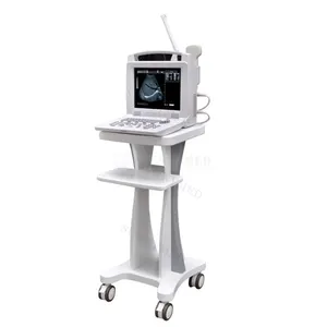 SY-A005 2023 Novo conjunto Veterinária Simples Portátil Animal Vet Ultrasound Scanner Preço para Venda