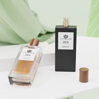 [Usine personnalisée] Bouteille de parfum en verre dépoli vide de luxe 100ml bouteille de parfum rectangulaire claire