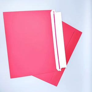 <span class=keywords><strong>Avis</strong></span> d'admission personnalisé Document Express Sacs avec adhésif et bandes faciles à déchirer pour les écoles et les entreprises - Product Image 4