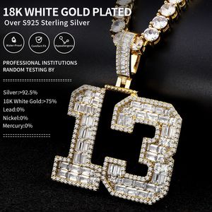 Precio al por mayor de gama alta Hip-Hop <span class=keywords><strong>13</strong></span> colgante collar personalizado estilo callejero completo-taladro Punk de lujo para regalo - Product Image 4