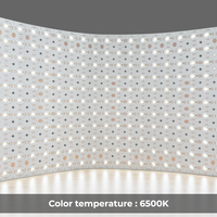 Panneau LED flexible, éclairage d'ambiance intelligent pour la maison, éclairage paysager, SMD2835, lumières de Noël, indice de protection IP20, 24V CC, gradation, contrôle par application Wi-Fi