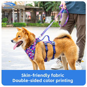 Correa de perro de verano de mar mejorada de Kingspeed, correa de mascota con estampado multicolor, correa de cachorro de tres tamaños - Product Image 6