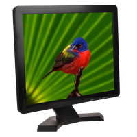 Écran LCD 15 pouces HD pour ordinateur PC, résolution 1024*768