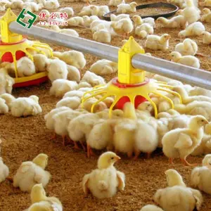 Hot Sale Full Automatic Poultry Farming Chicken Broiler Pan Feeding System Equipment