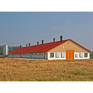 Conception de Ferme Avicole Préfabriquée Moderne pour Poules Pondeuses - Product Image 3