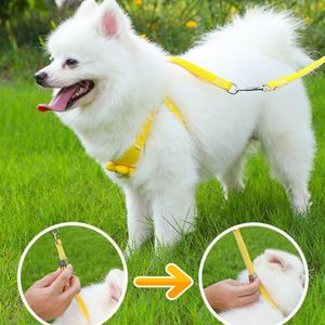 Laisse <span class=keywords><strong>de</strong></span> luxe en polyester pour animaux <span class=keywords><strong>de</strong></span> compagnie Collier <span class=keywords><strong>de</strong></span> luxe <span class=keywords><strong>de</strong></span> style gilet pour chien en peluche avec fermeture à bouton <span class=keywords><strong>de</strong></span> harnais anti-rupture Motif animal <span class=keywords><strong>de</strong></span> mode - Product Image 3