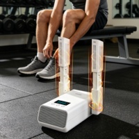 Sèche-chaussures électrique domestique désodorisant avec dispositif chauffant, chauffe-pieds, sèche-chaussures télescopique pour bottes, machine à sécher les chaussures OEM