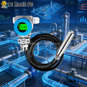Instrumento de Medición de Nivel de Aceite, Sensor de Nivel de 4-20 mA y Medidor de Nivel Sumergible a Prueba de Explosiones - Product Image 5
