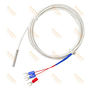สายเซ็นเซอร์วัดอุณหภูมิ Pt100 แบบกันน้ำ ทนต่อการกัดกร่อน ทนอุณหภูมิสูง ชนิดโพรบ - Product Image 2