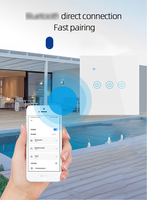 TYSH Eu 1 Gang Télécommande Touch Matter Smart Home Device Wifi Wall Timer Voice Smart Home Switch Compatible avec Alexa