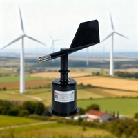 Capteur de direction du vent RIKA RS485 avec sortie 4-20 mA pour station météo et surveillance météorologique