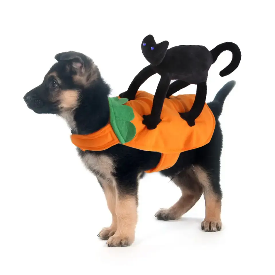 Venda quente Pet Cowboy Equitação Dress Up Costumes cospaly Halloween Dog Roupas engraçadas cão roupas pet cosplay traje halloween