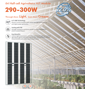 Agri PV <span class=keywords><strong>Module</strong></span> 290W 32% minh bạch khu vực tạo ra năng lượng sạch năng lượng mặt trời bảng điều khiển <span class=keywords><strong>295W</strong></span> 300W bảo quản không gian cho nông nghiệp hoặc chăn nuôi - Product Image 2